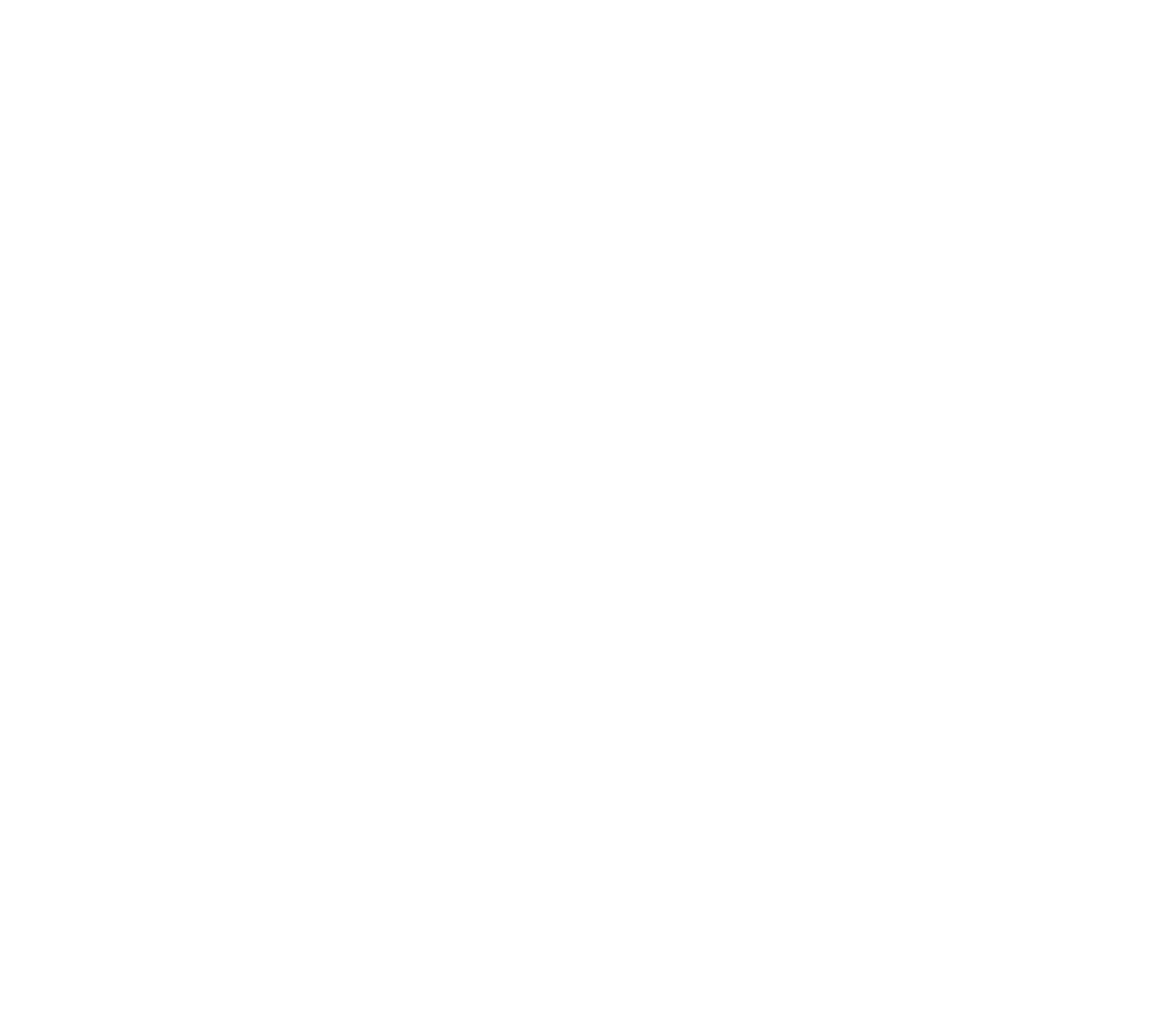 icon_barrierefreiheit
